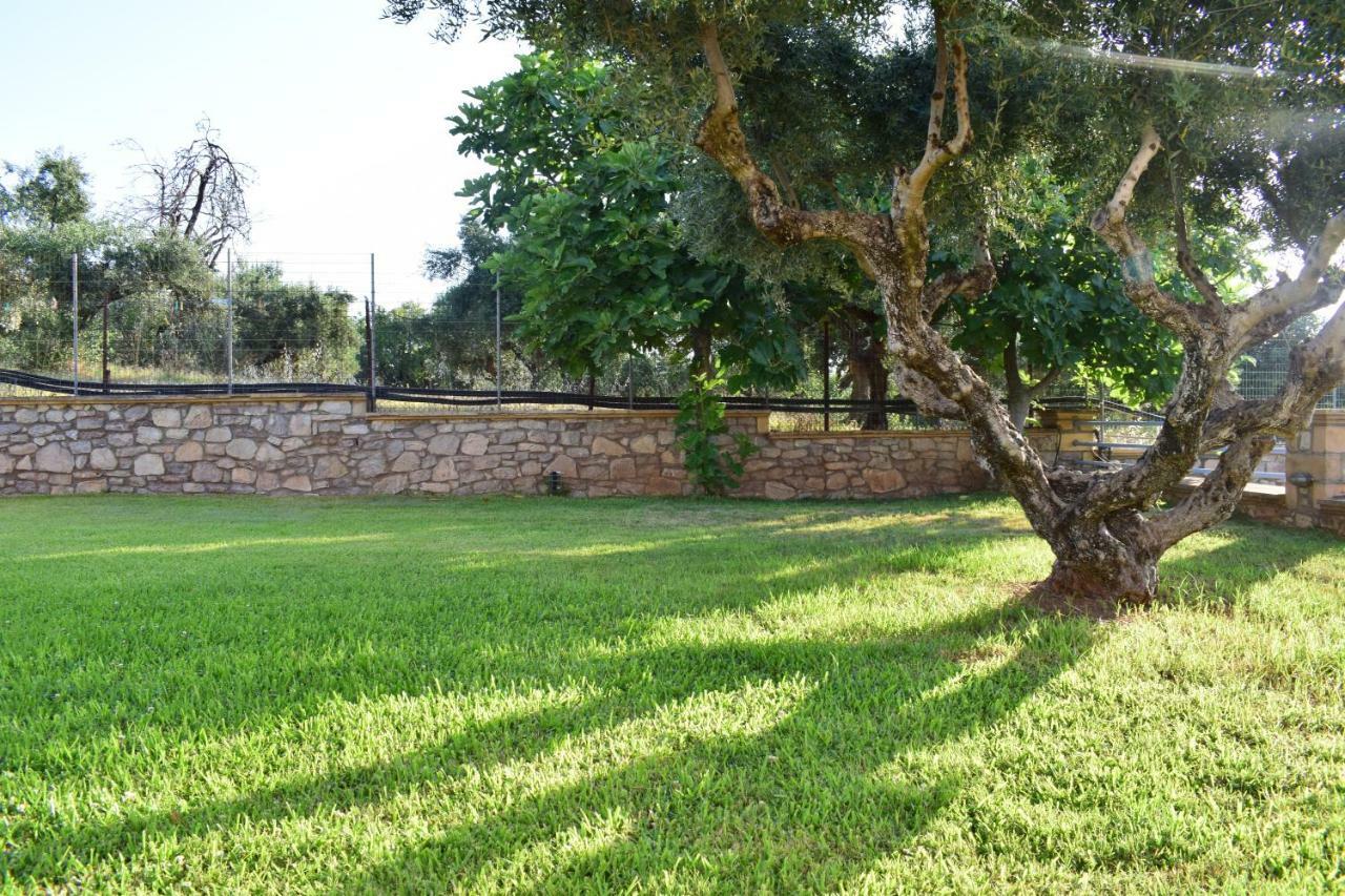 Alexandros Seaside Family Apartments & Villas - Paradise, 7' From Petalidi Kalamaki Kültér fotó