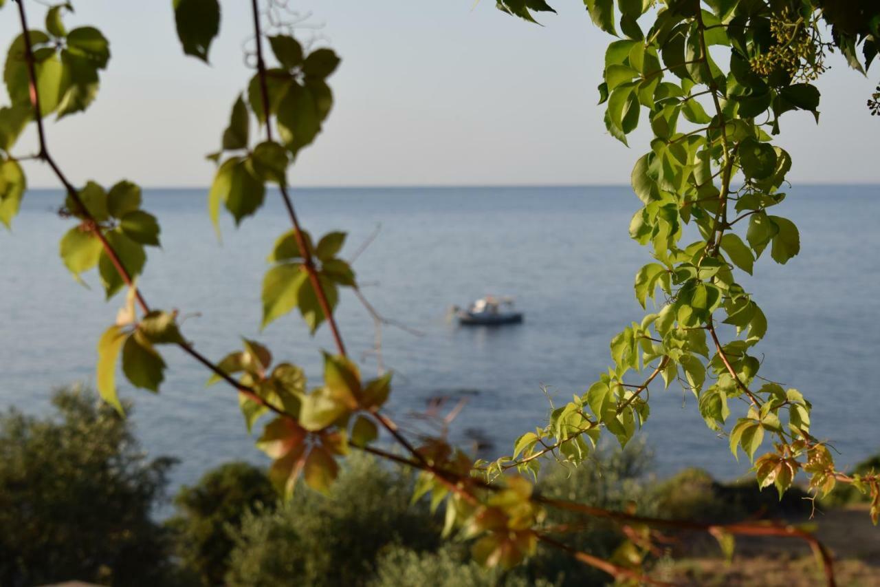 Alexandros Seaside Family Apartments & Villas - Paradise, 7' From Petalidi Kalamaki Kültér fotó